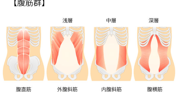 EMSでインナーマッスル強化 ｜二十四軒の整骨院が解説
