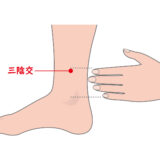 本日のツボ紹介｜三陰交（さんいんこう）｜札幌市西区二十四軒のてて整骨院二十四軒店