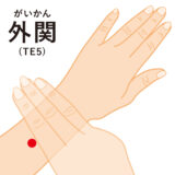 本日のツボ紹介　外関（がいかん） 首肩の痛み　水分代謝や自律神経のバランスに◎