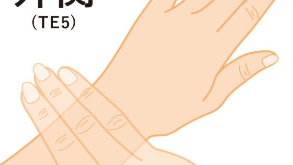 本日のツボ紹介　外関（がいかん） 首肩の痛み　水分代謝や自律神経のバランスに◎