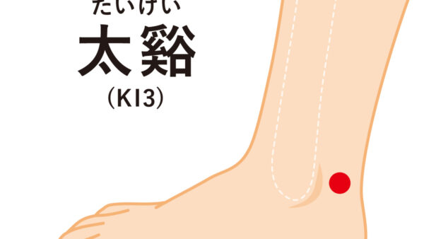 本日のツボ紹介　太渓(たいけい) 冷え解消・美容効果・腎機能を高める「万能ツボ」