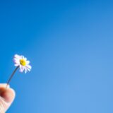 春分の日は体を整えるチャンス！自律神経と不調をリセットする過ごし方｜てて整骨院二十四軒店