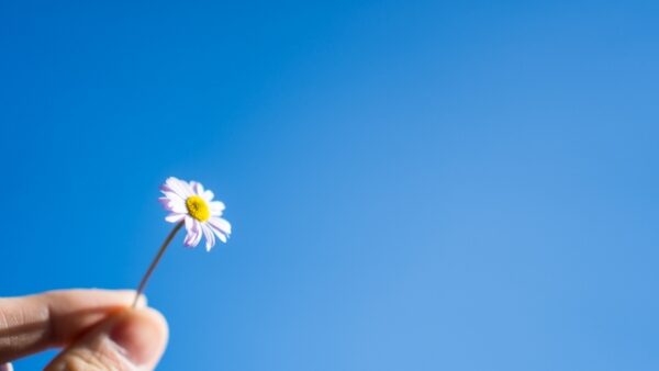 春分の日は体を整えるチャンス！自律神経と不調をリセットする過ごし方｜てて整骨院二十四軒店