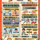 【膝の中に軟骨のクッション！？】引っかかりと激痛を生む「半月板」の真犯人と根本改善法