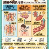 【腰痛の真実】レントゲンに写らない痛みを狙い撃ち！鍼灸治療が効くこれだけの理由